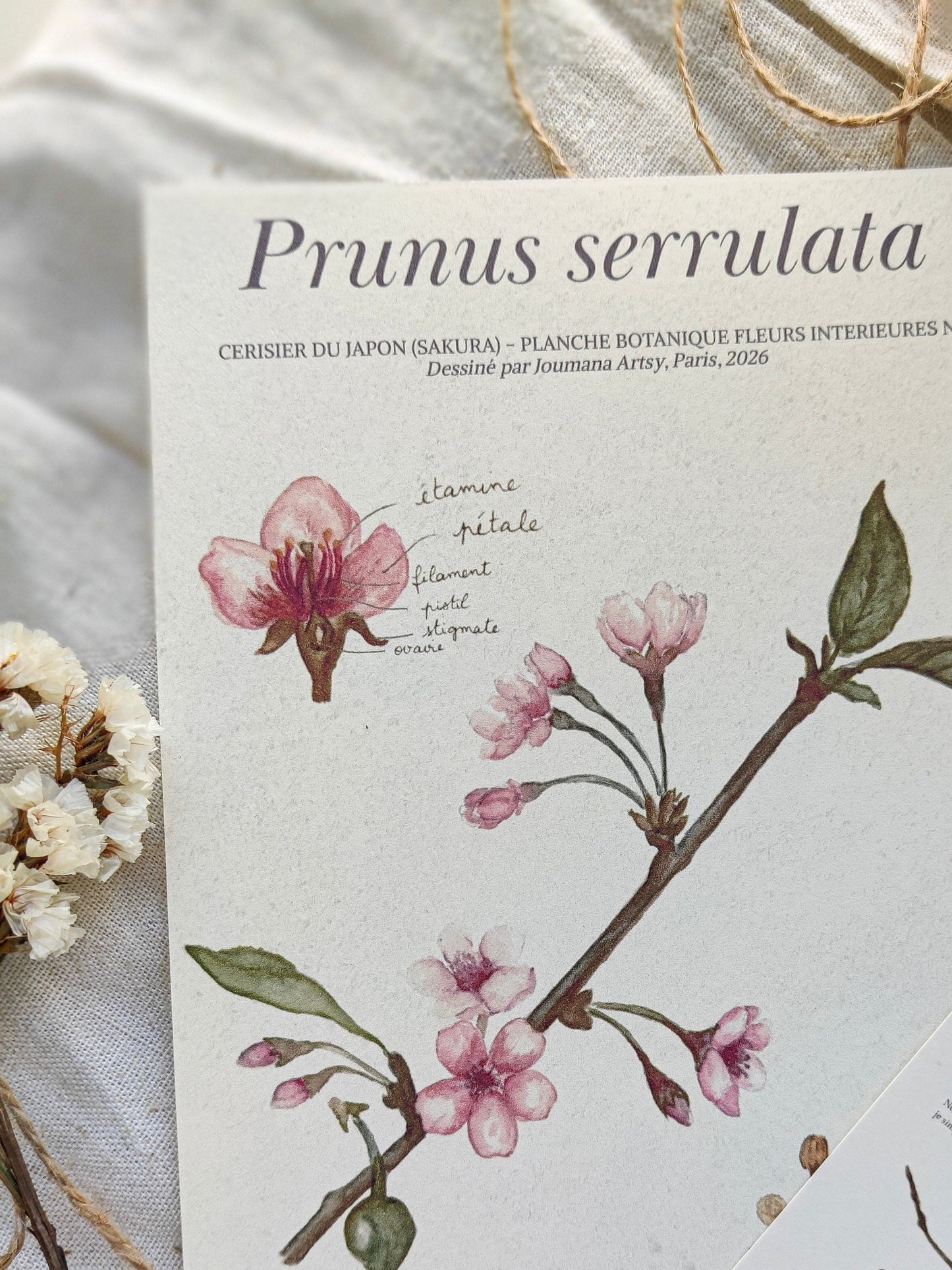 Courrier Fleurs Intérieures - Livraison comprise